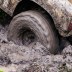 When Brains Get Stuck - Dr Mark Burgin